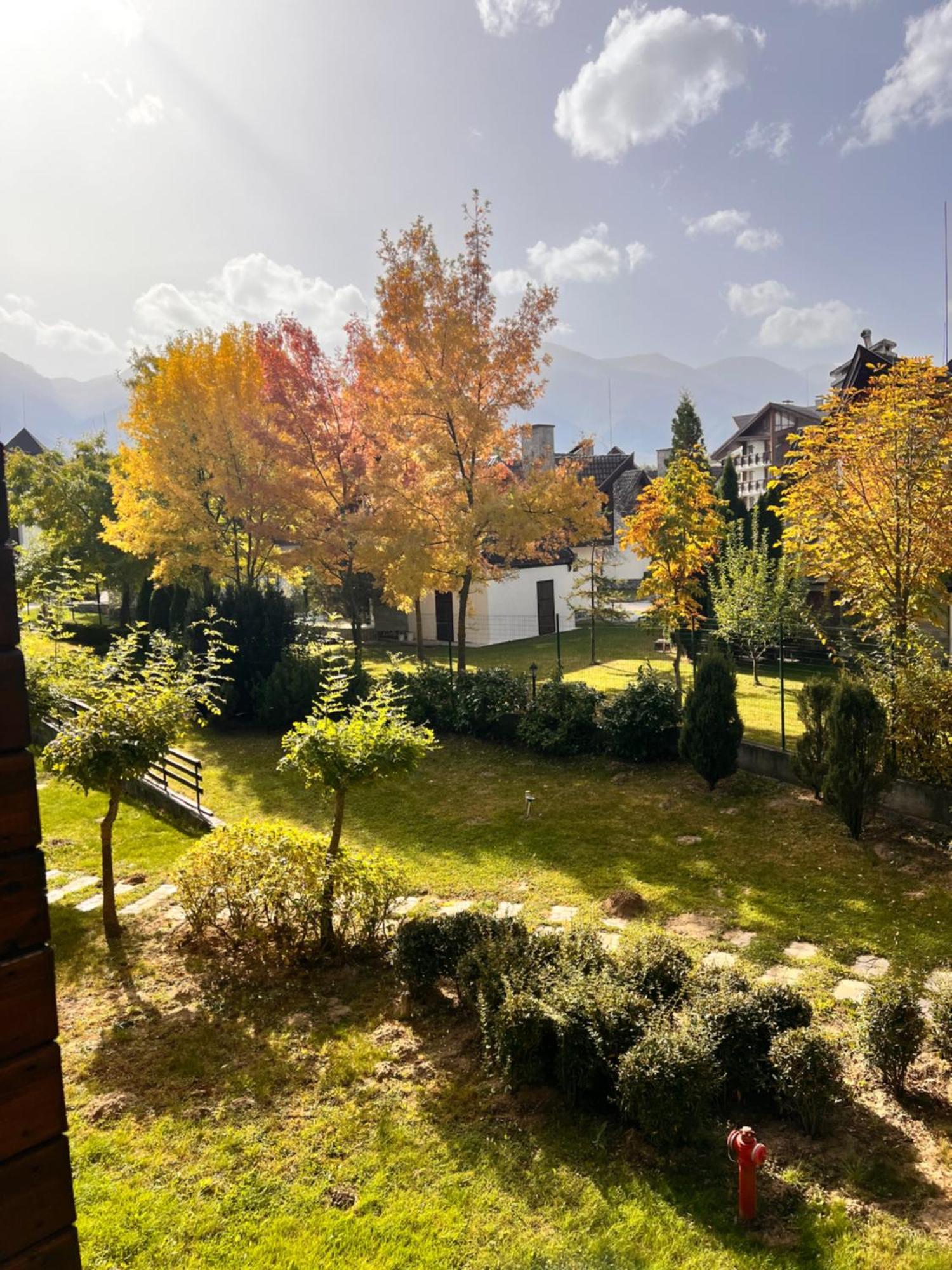 Cosy Studios With Mountain View Near Bansko Razlog Kültér fotó